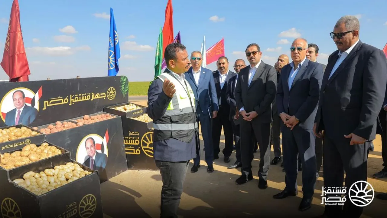 تعاون مصري سوداني.. مقترح جديد لتنفيذ مشروعات تنموية زراعية كبرى قريباً